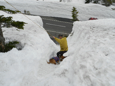 f0205887_19183453.gif