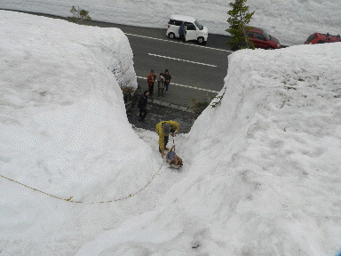 f0205887_198736.gif
