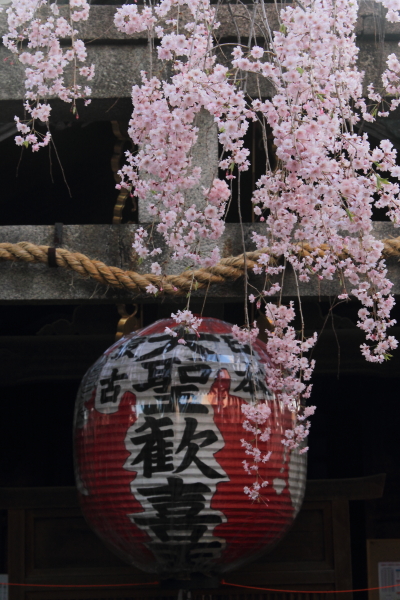雨宝院_e0051888_228574.jpg