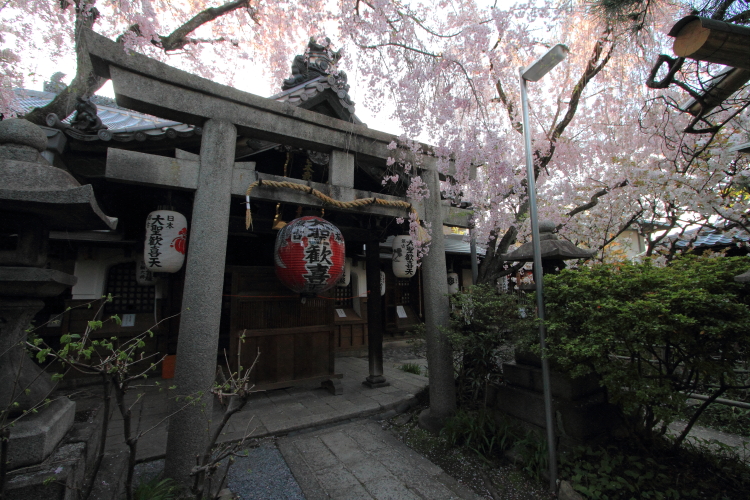 雨宝院_e0051888_229186.jpg