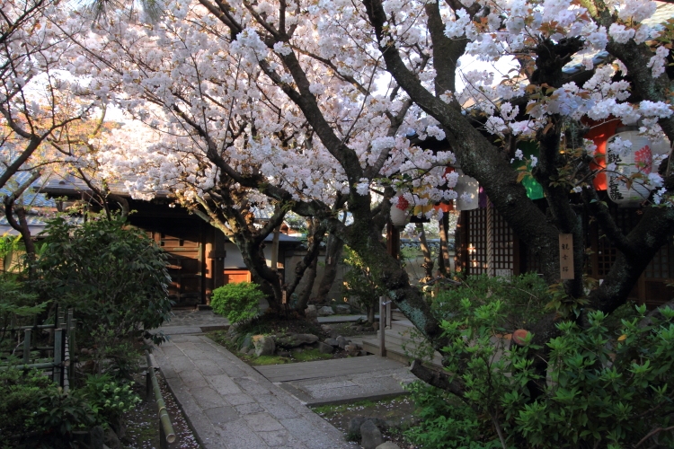 雨宝院_e0051888_2315113.jpg