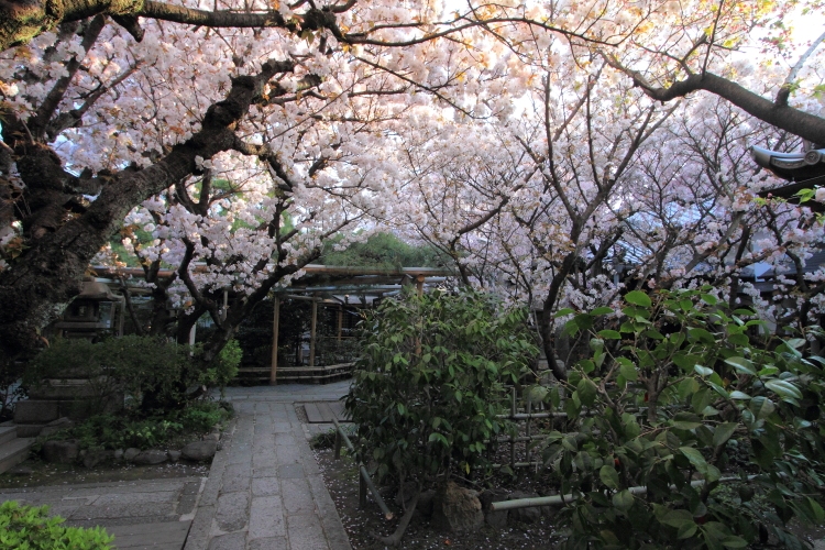 雨宝院_e0051888_2342621.jpg