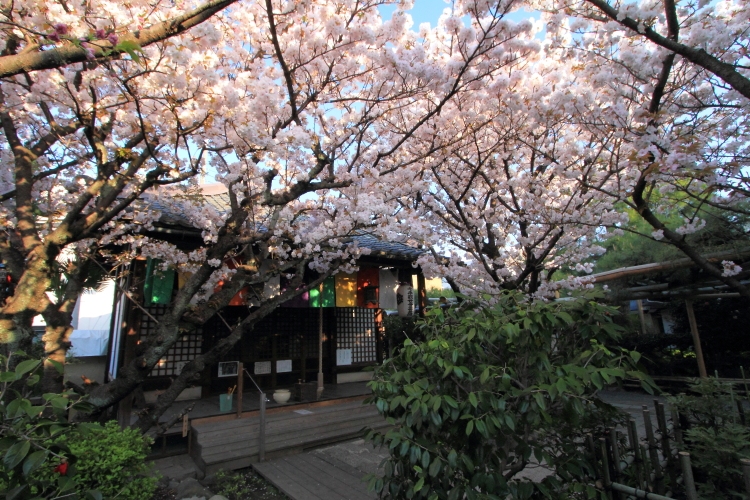 雨宝院_e0051888_234718.jpg