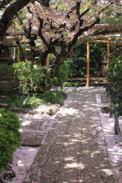雨宝院_e0051888_2351921.jpg