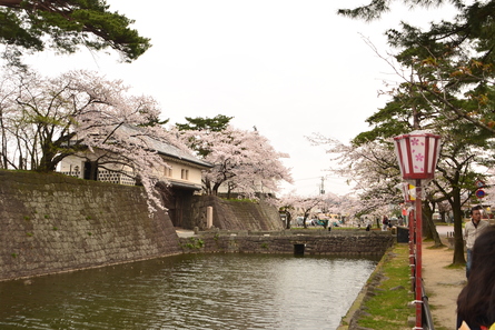f0082592_14341442.jpg
