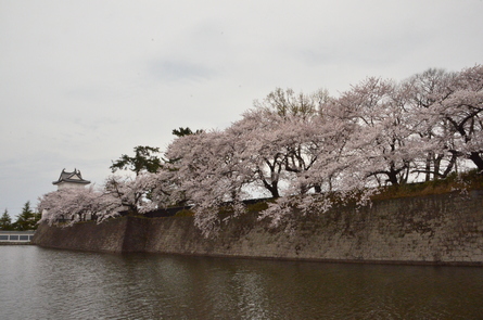 f0082592_14363127.jpg