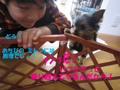 「ミトちくりん」_e0125894_15842.jpg