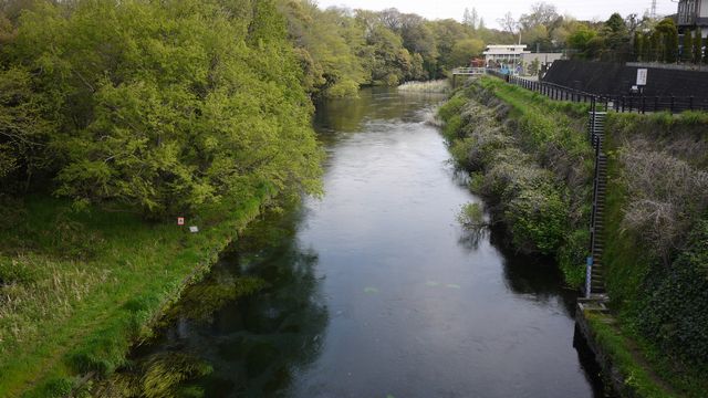 c0133096_920279.jpg