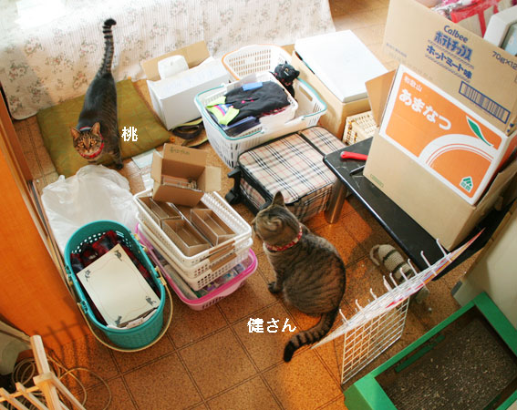 d0071596_22295535.jpg