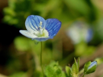 c0173697_3231560.jpg