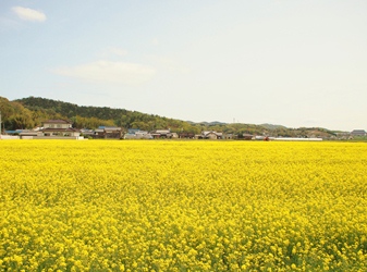 c0173697_3245335.jpg