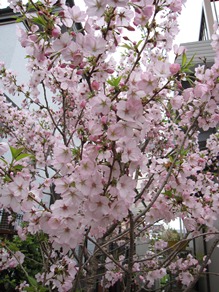 c0117898_19272148.jpg