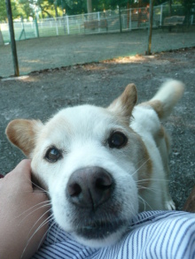 ２０１２．５．１９（土）　チャリティーイベントを開催します！ 　＜転載＞_f0176499_20142169.jpg