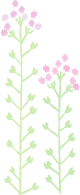 a0123003_02274.gif