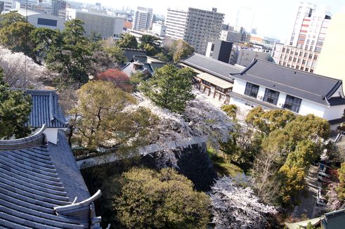d0149103_12341142.jpg