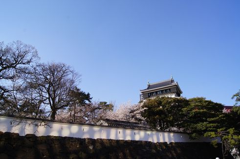 d0149103_1273948.jpg