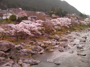 御岳　電車回送_f0164003_02124.jpg