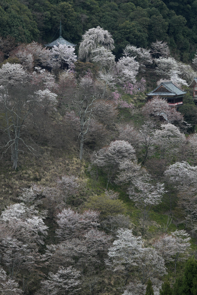 b0221605_95084.jpg