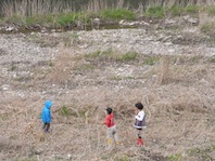 c0152305_381680.jpg