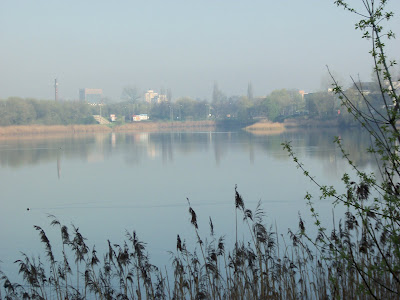 f0154805_17114022.jpg