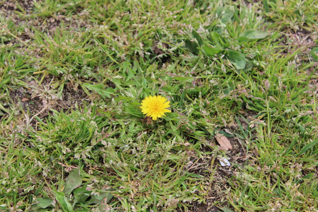 f0224506_23412115.jpg