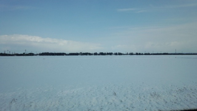 f0039907_10323595.jpg