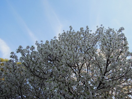 a0041508_013792.jpg