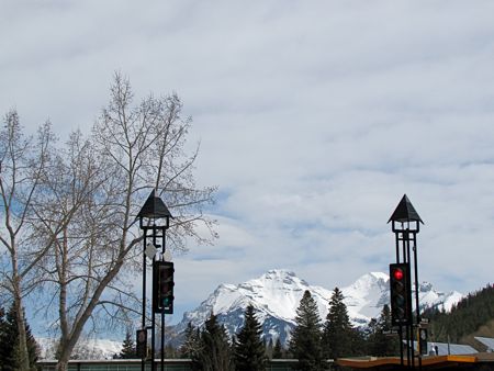 b0051109_88911.jpg