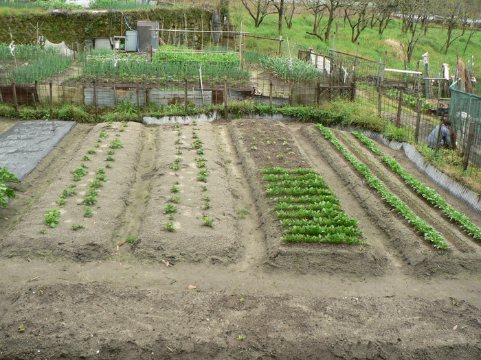 f0219710_11472662.jpg