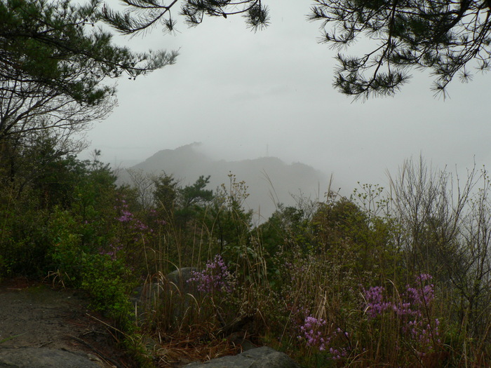 f0219710_12234667.jpg