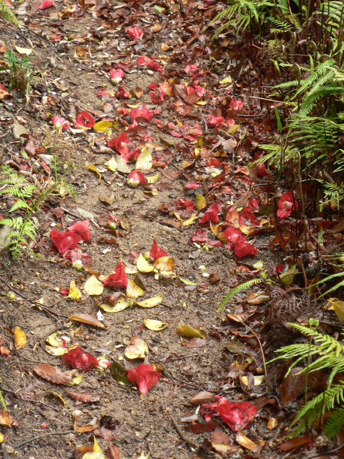 f0219710_1225303.jpg