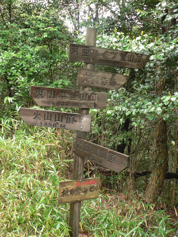 f0219710_1252237.jpg