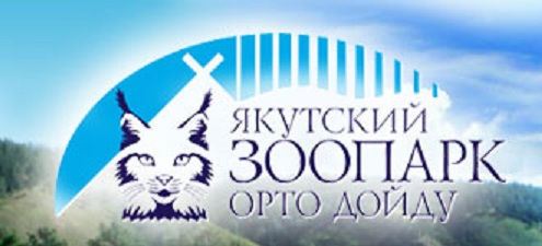 ロシア極北・サハ共和国(ヤクーチア)で保護された孤児の赤ちゃんがヤクーツク動物園へ_a0151913_202580.jpg