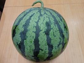 すいか☆_f0206213_1892320.jpg