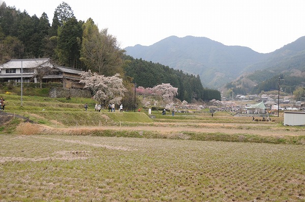 f0236413_21555677.jpg