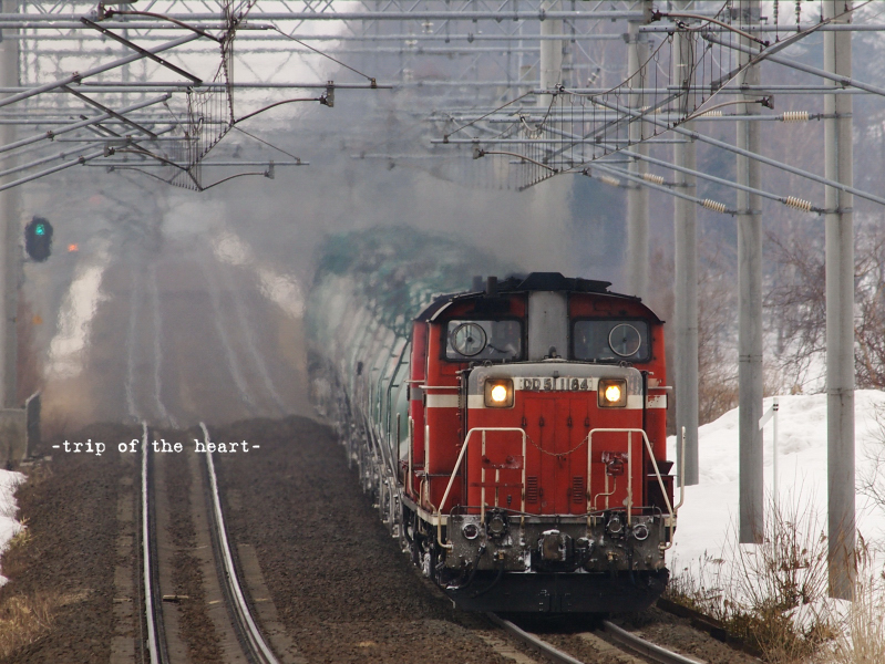 b0157018_20413814.jpg