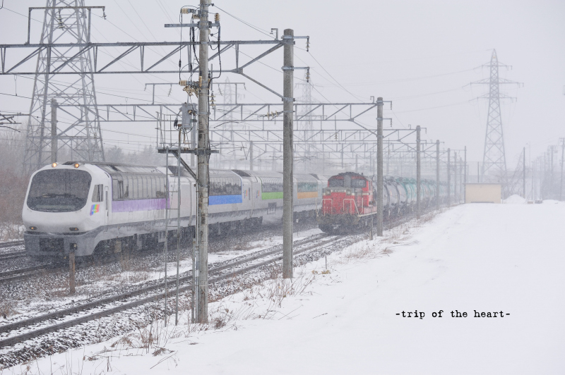 b0157018_20462367.jpg