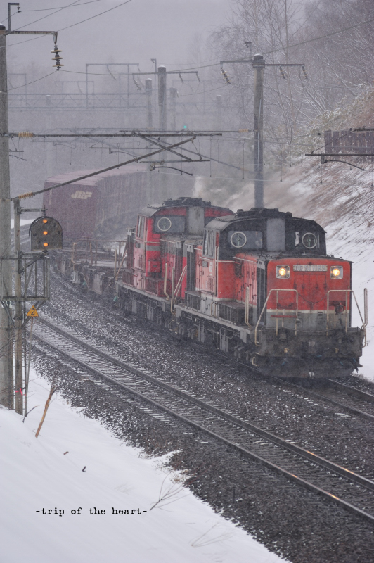 b0157018_20523870.jpg