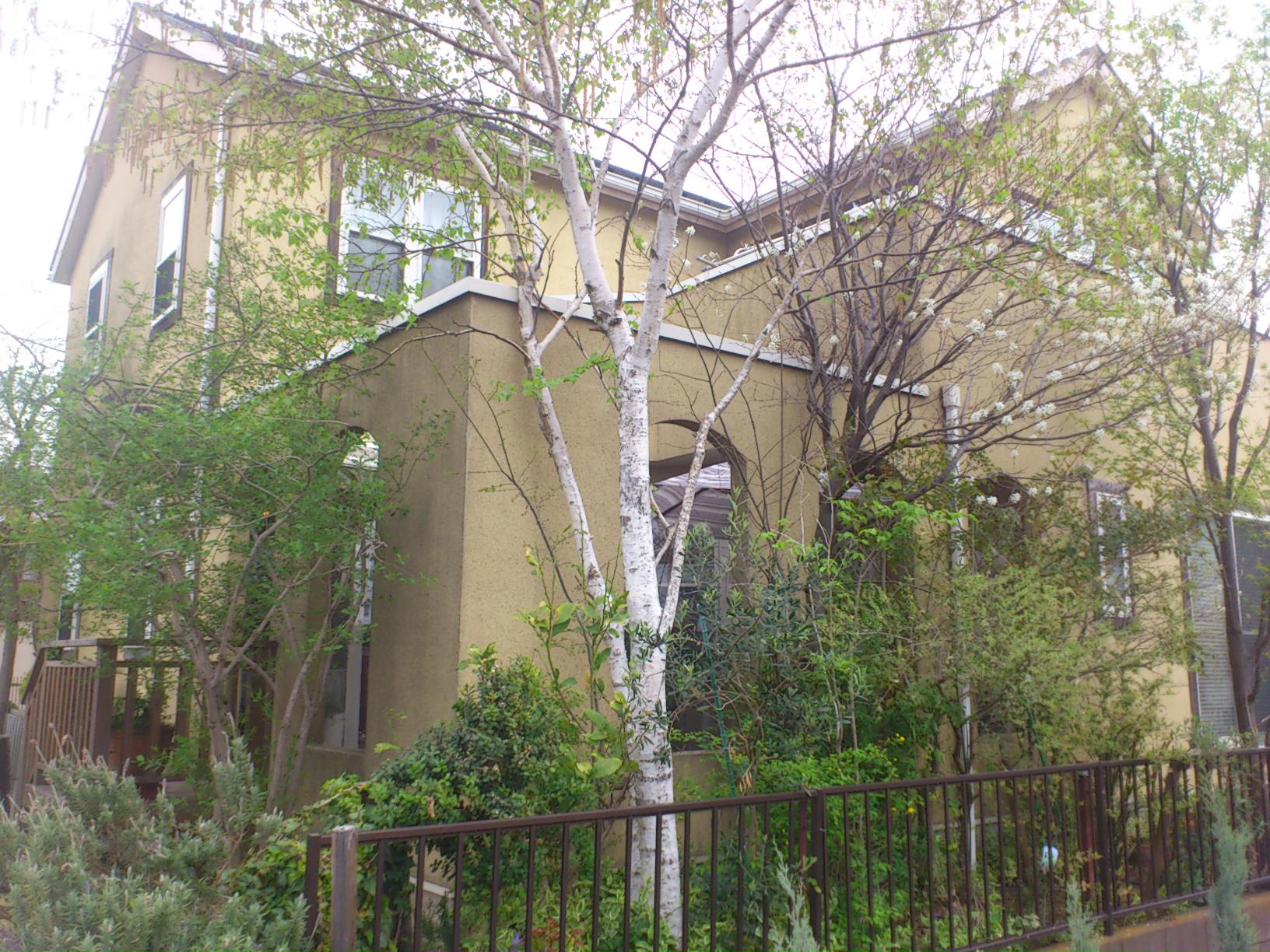 c0146921_12245547.jpg
