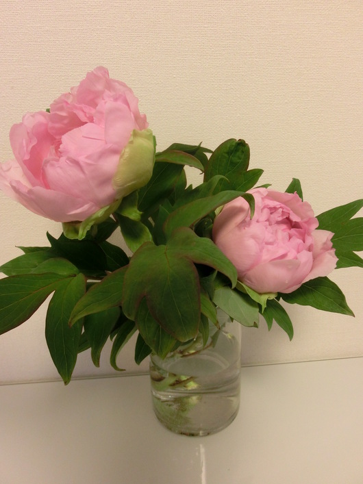 カンパーニュと牡丹・・・♪_b0247223_15424261.jpg