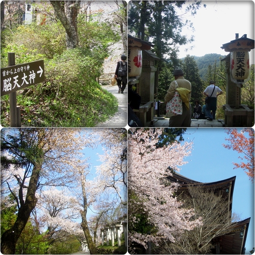 吉野山の千本桜_f0054429_001726.jpg