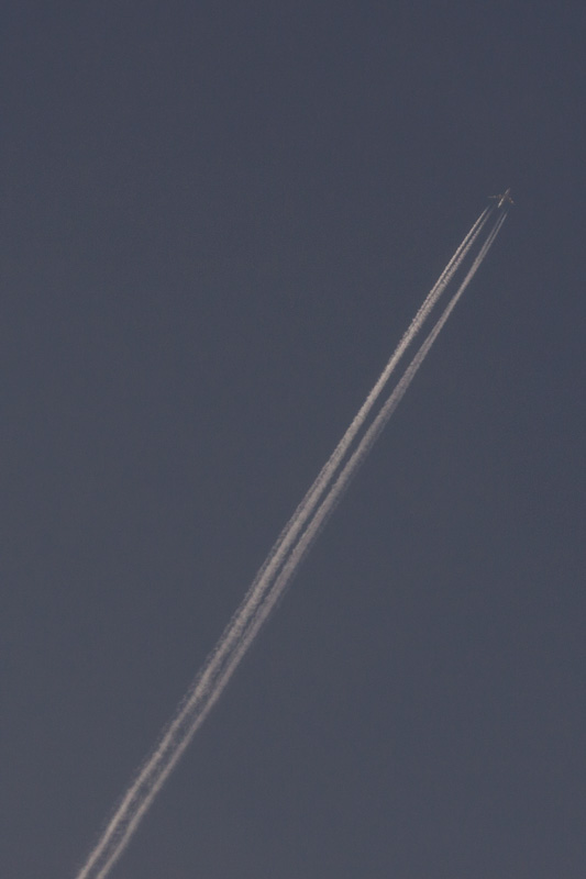 b0177233_60125.jpg