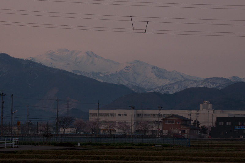 b0177233_61430.jpg