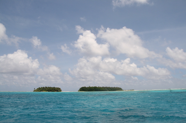 d0140533_10314110.jpg