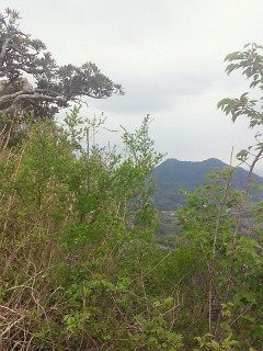 e0085133_18213743.jpg
