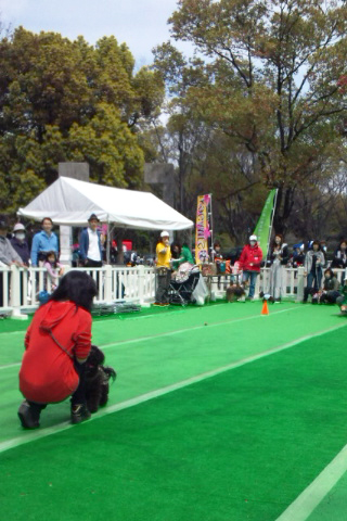 代々木公園わんわんカーニバル♪_e0166336_11131778.jpg