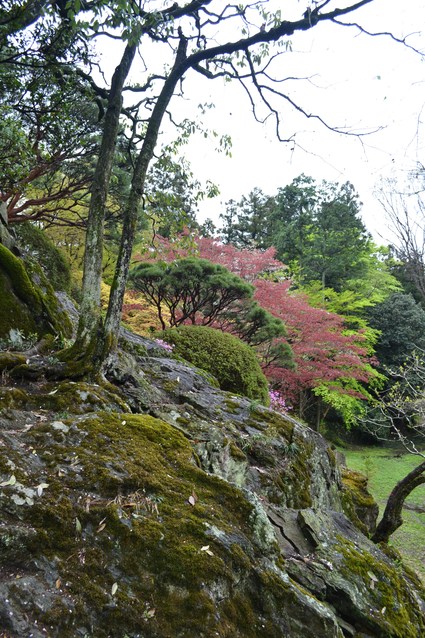 原三渓　郷里の天神山・2012（3）_e0228938_18585786.jpg