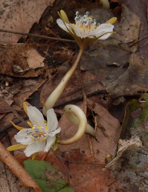 f0003138_18182794.jpg