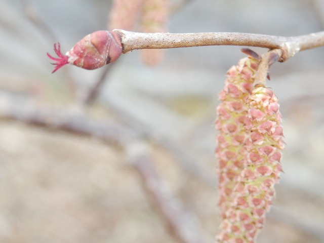 f0003138_1825539.jpg