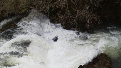 e0114857_2274350.jpg